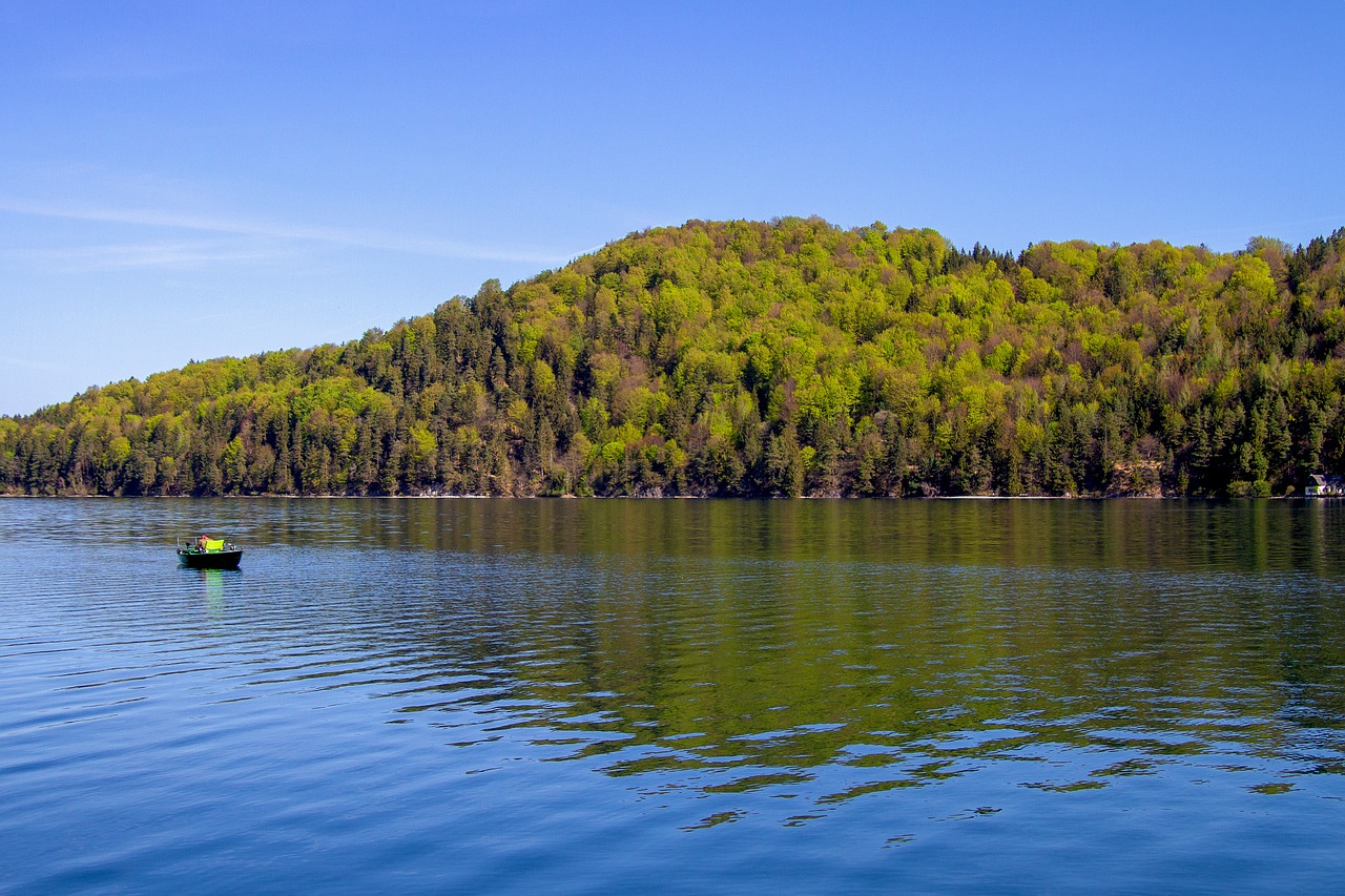 lake  trees  landscape free photo