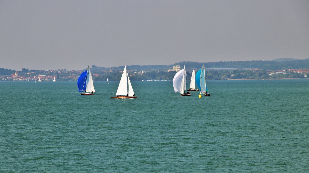 lake  wind  the sail free photo