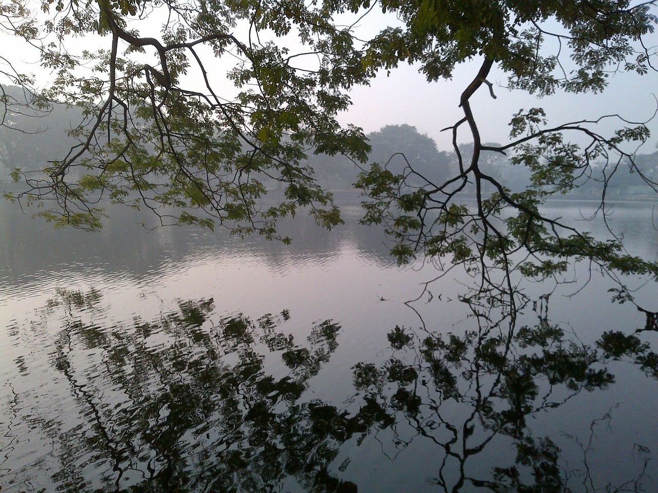 lake water scenic free photo