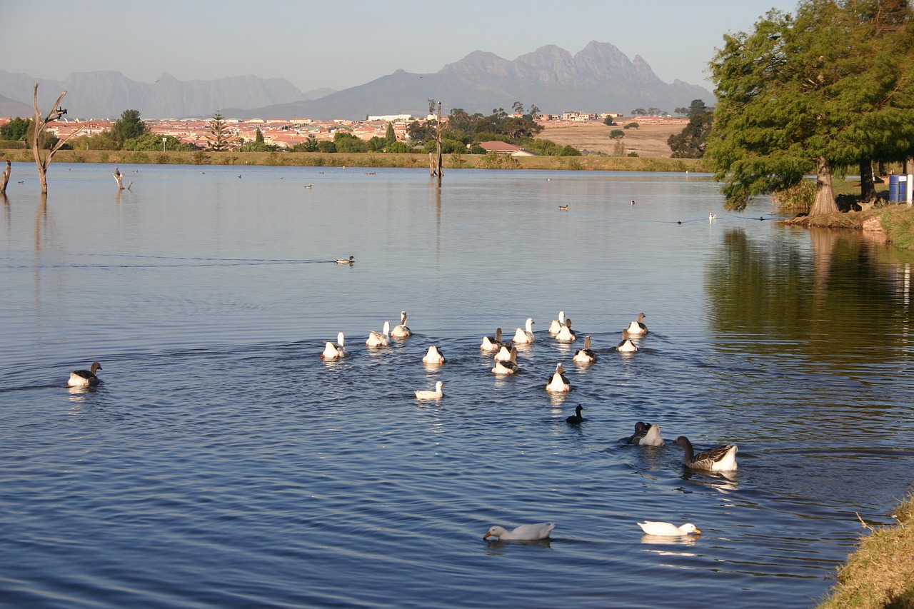 lake  nature  outdoor free photo