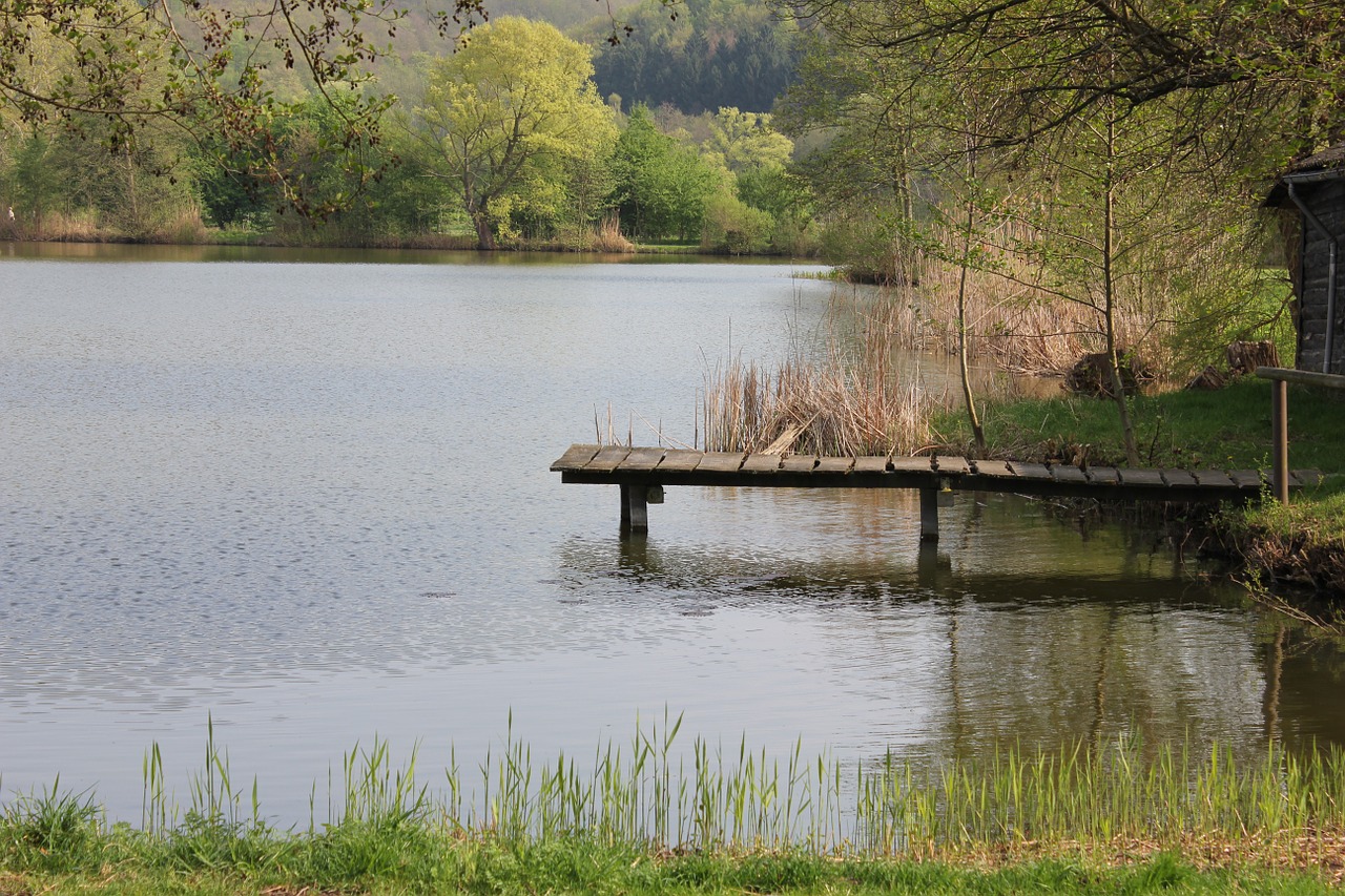 lake nature water free photo