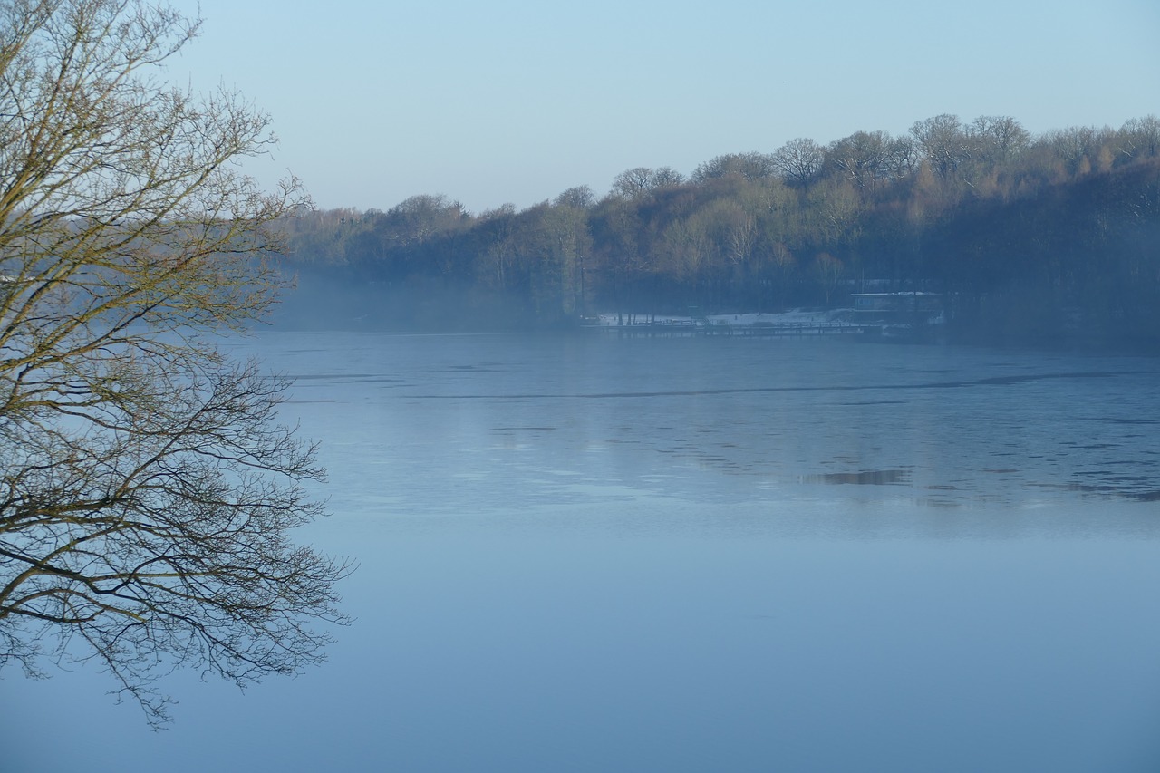 lake  fog  mood free photo