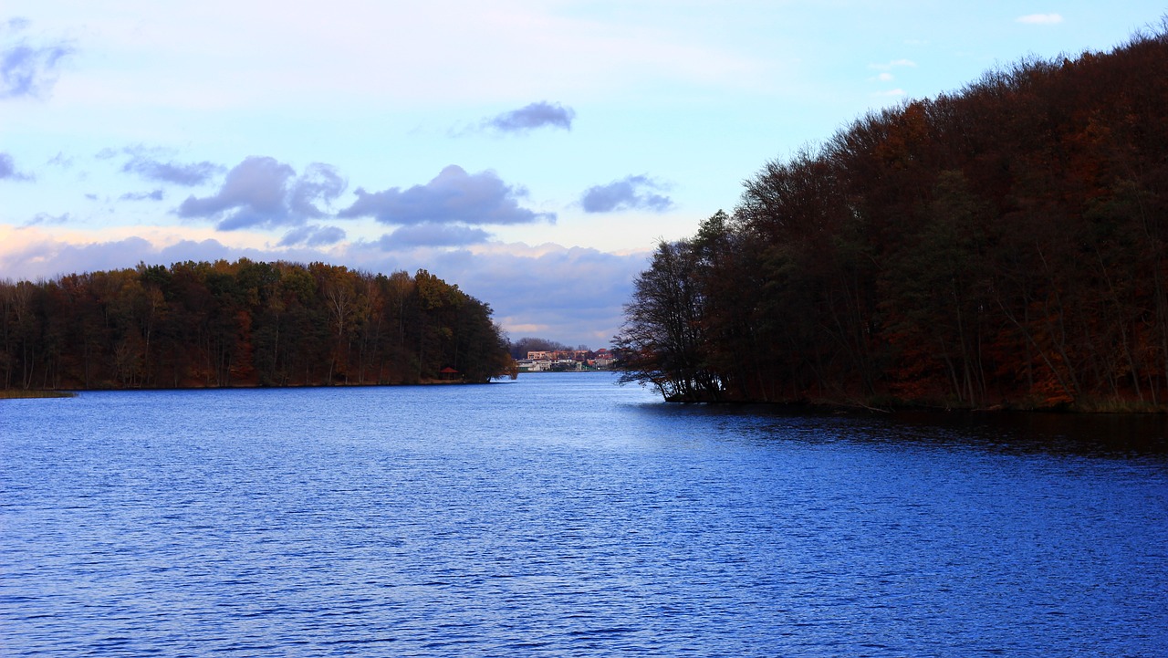 lake  evening  water free photo