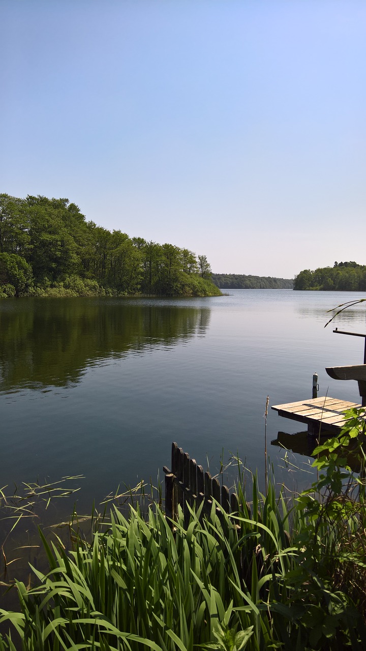 lake  landscape  schaalsee free photo