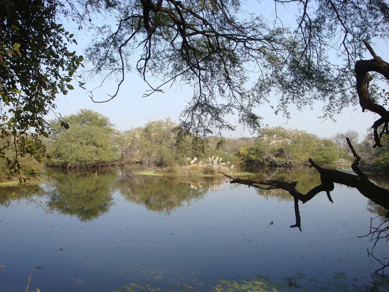 lake mother earth reflection free photo