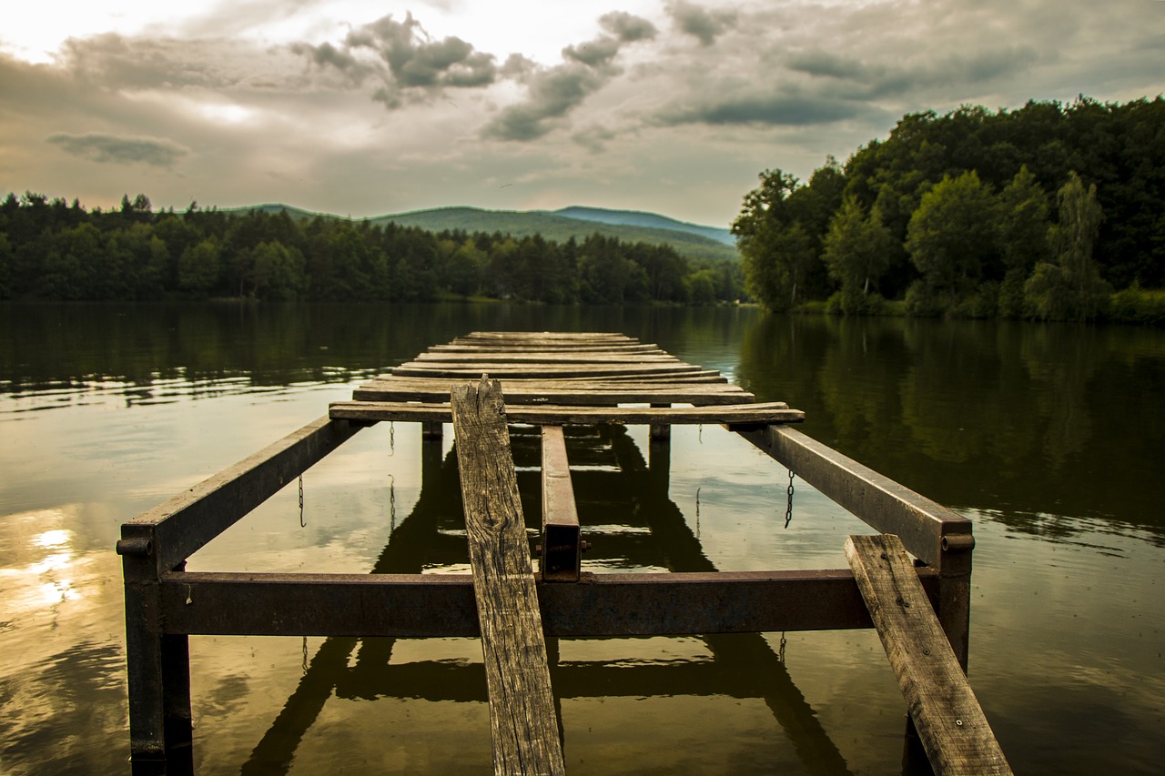 lake  pier  trees free photo