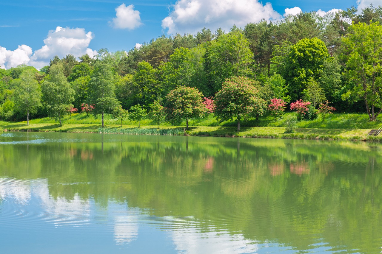 lake  pond  water free photo