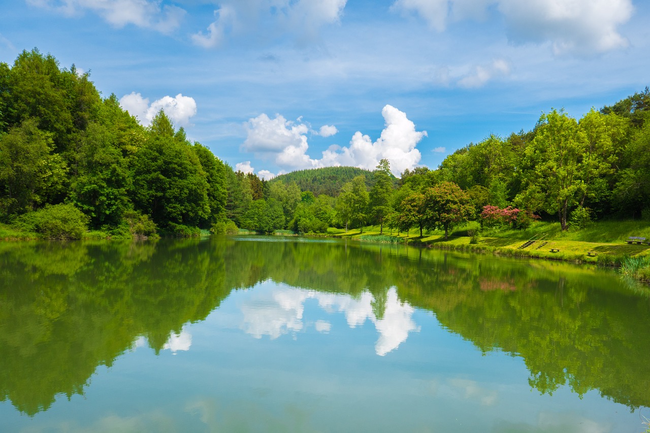 lake  pond  waters free photo