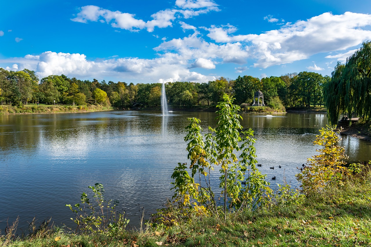 lake  park  magdeburg free photo