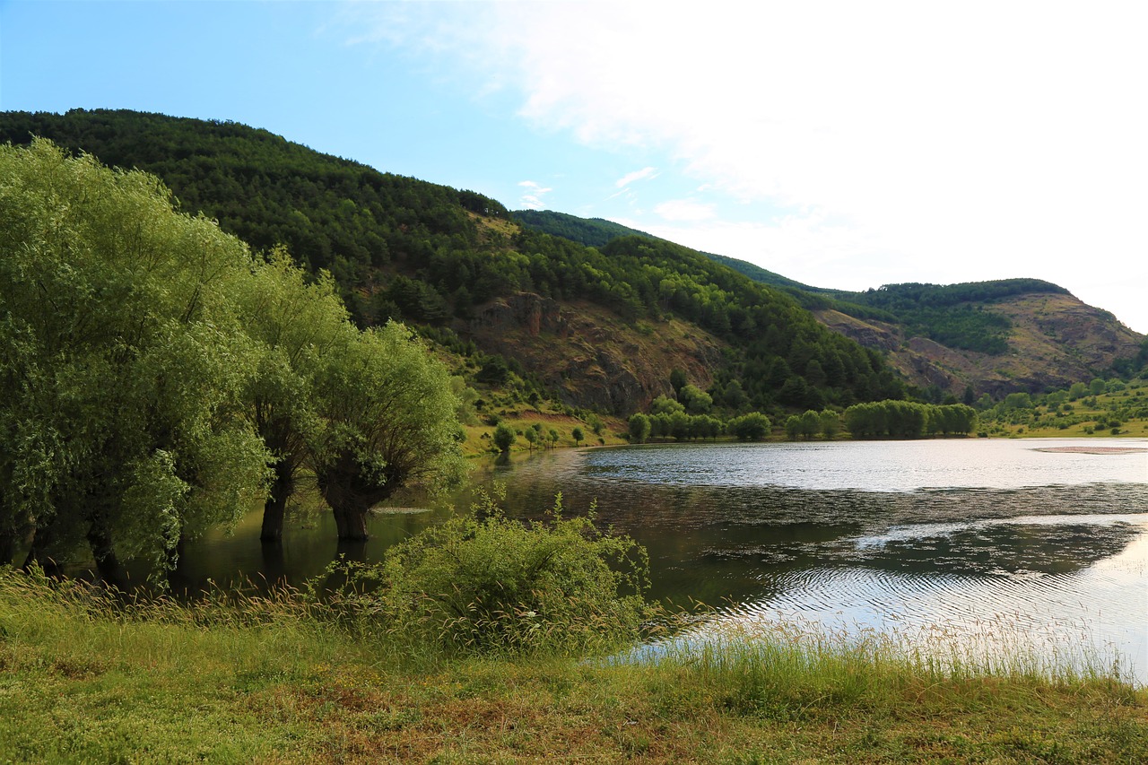 lake  water  nature free photo