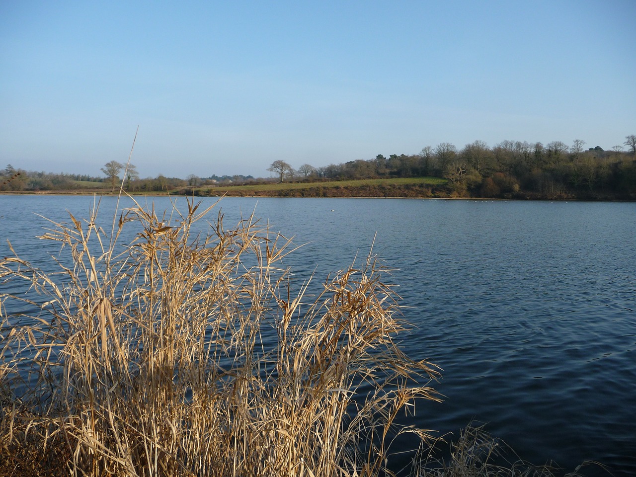 lake the jaunay lake landscape free photo