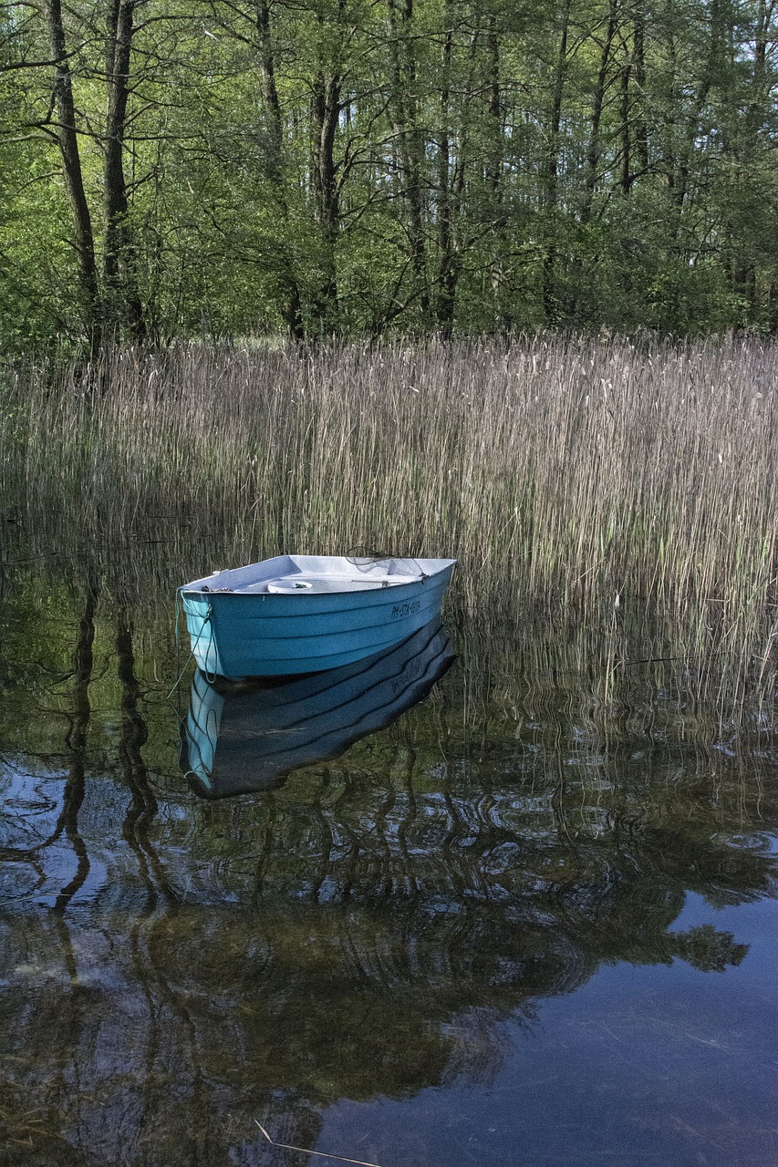 lake  water  reflection free photo