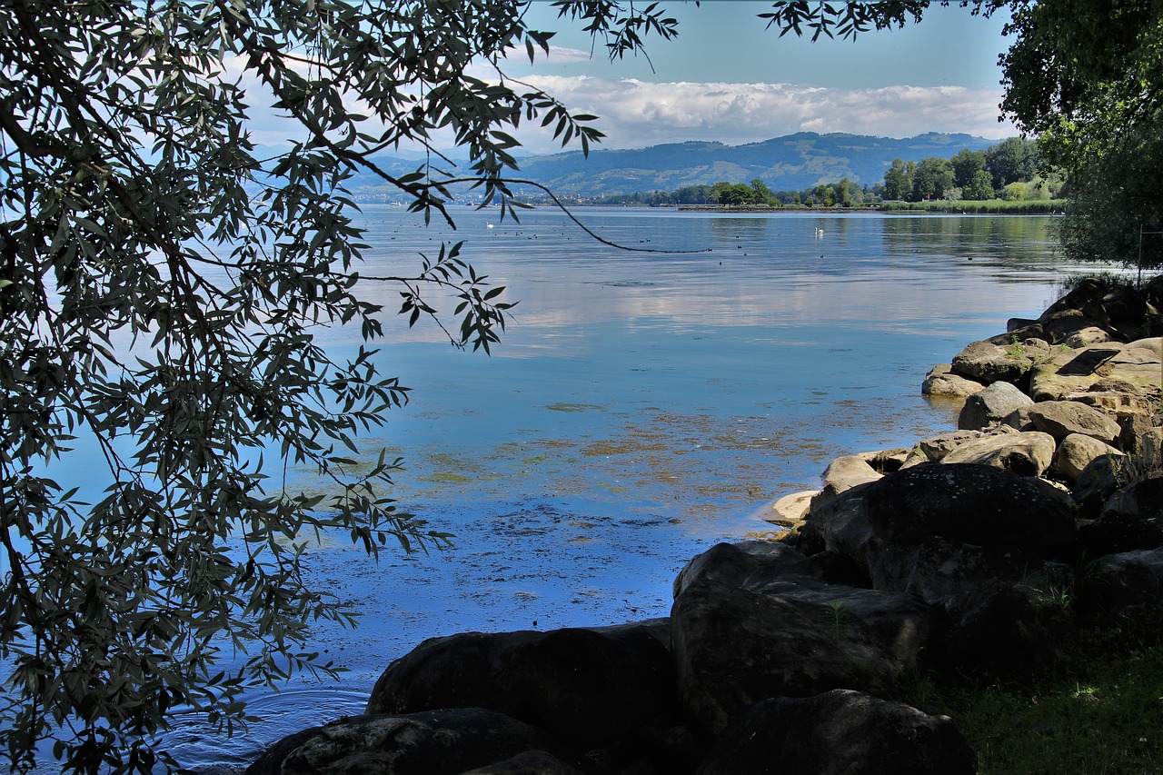 lake  bodensee  beach free photo