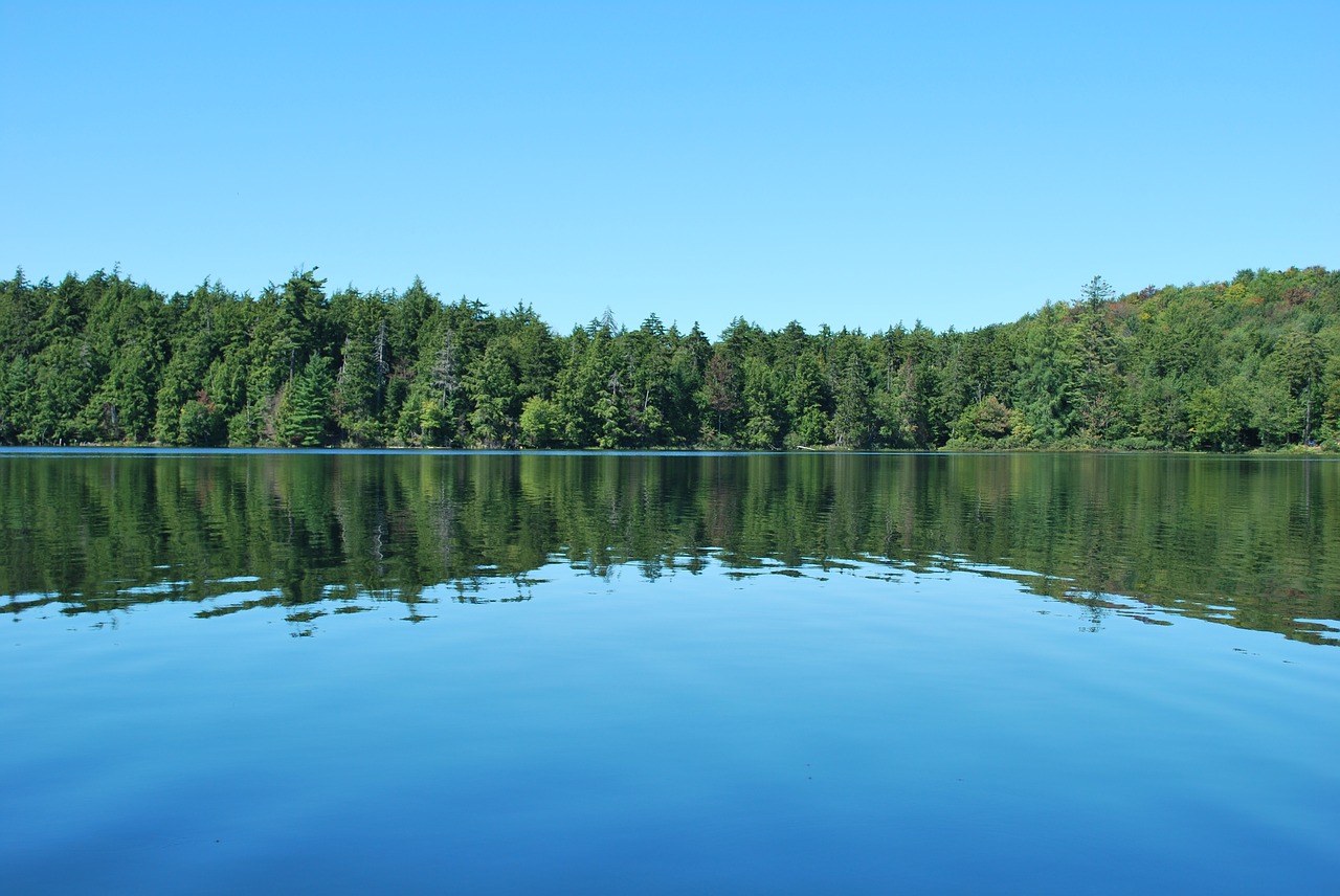 lake  nature  trees free photo