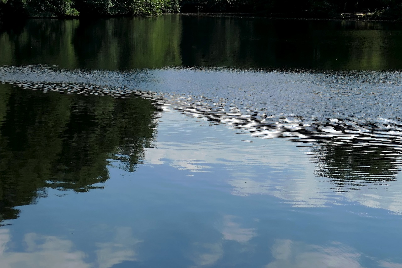 lake  mirroring  waters free photo