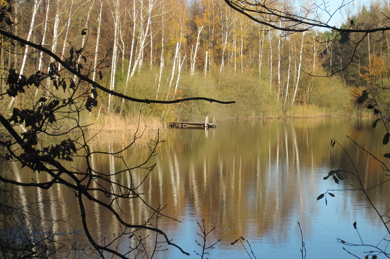 lake  nature  water free photo