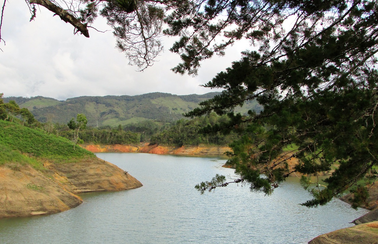 lake  green  nature free photo