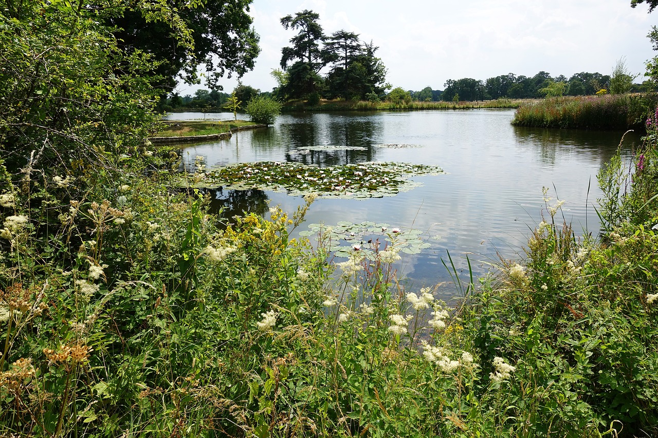 lake  fresh water  wild free photo