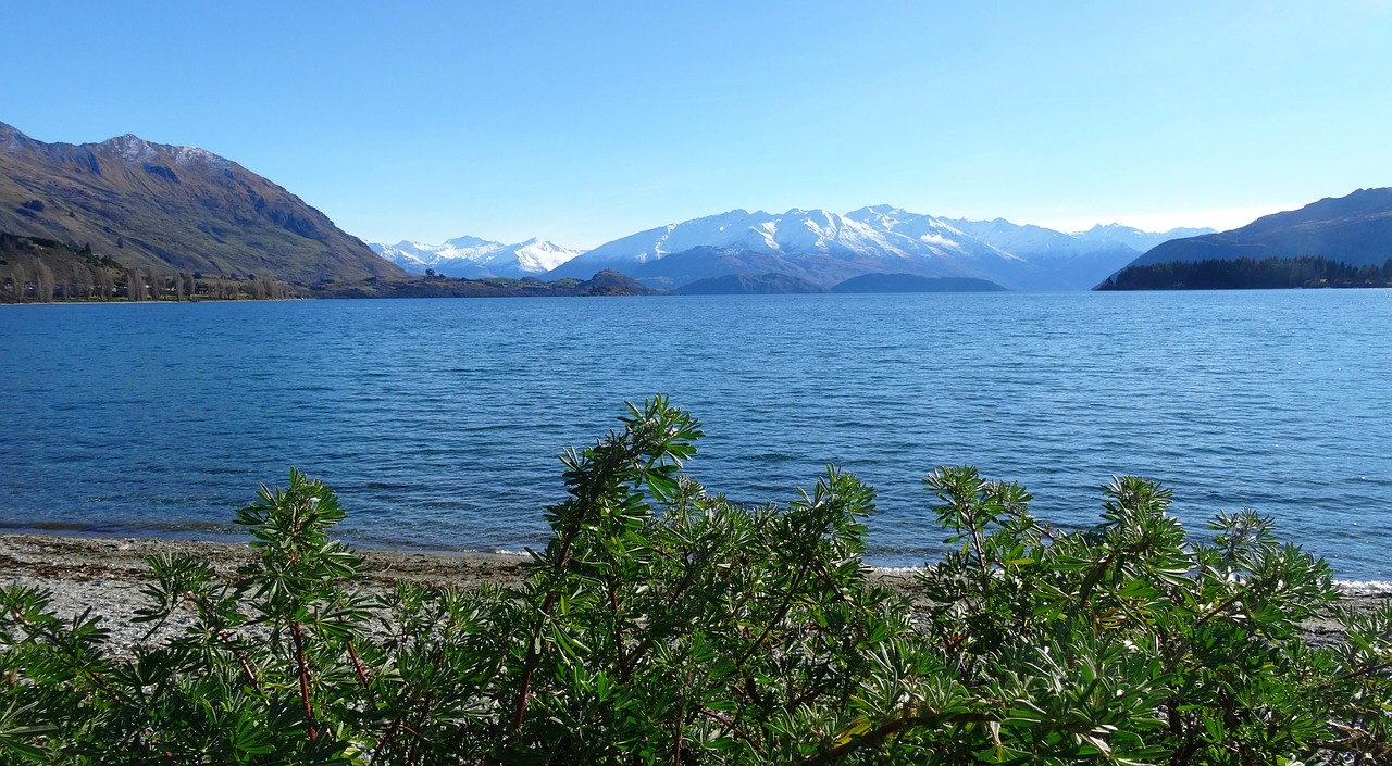 lake  new zealand  landscape free photo