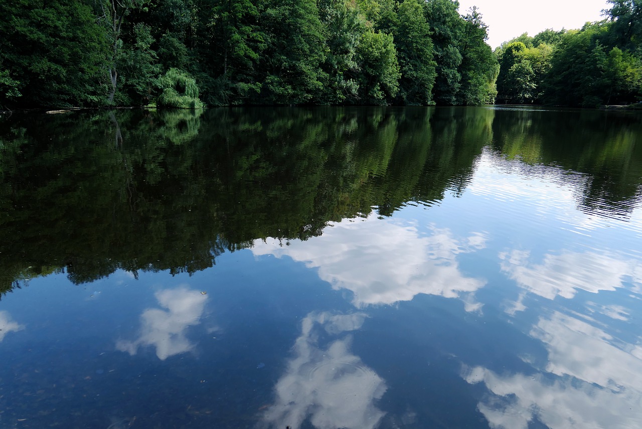 lake  mirroring  waters free photo