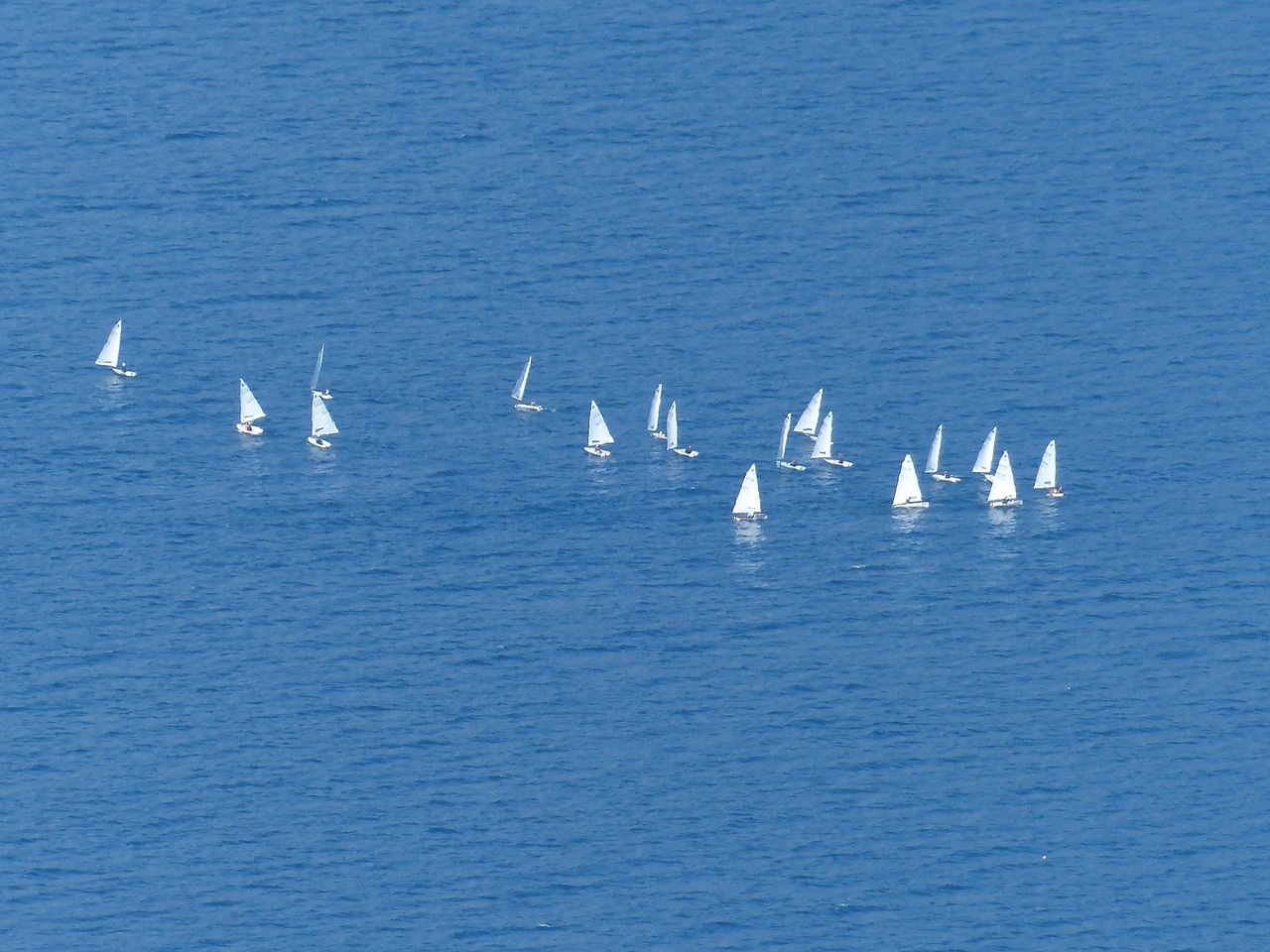 lake sail sailing boats free photo