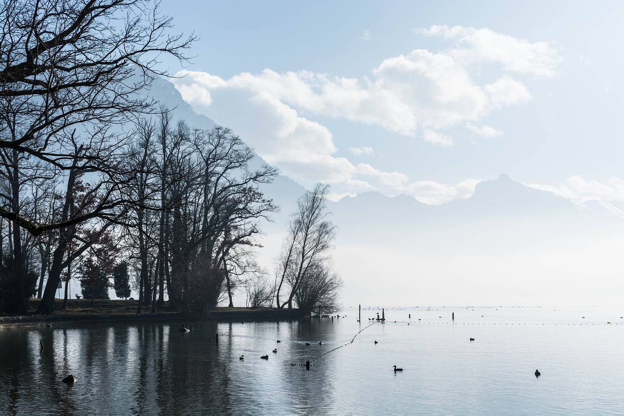 lake clouds fog free photo