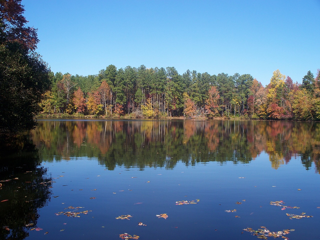 lake  trees  nature free photo