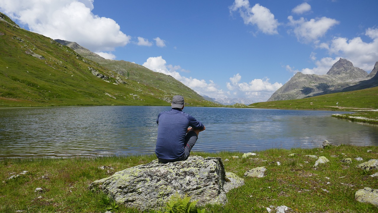 lake  mountains  meadow free photo