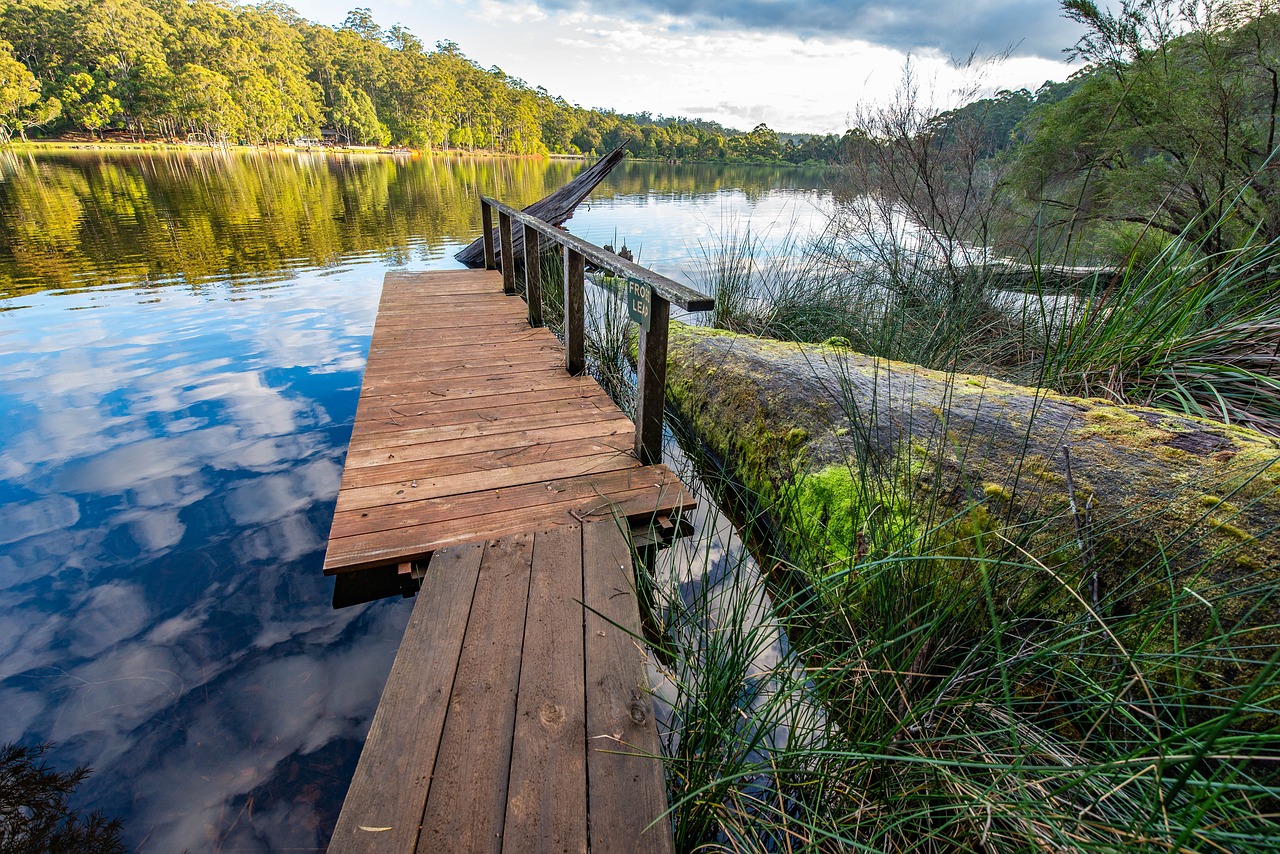 lake  trees  water free photo