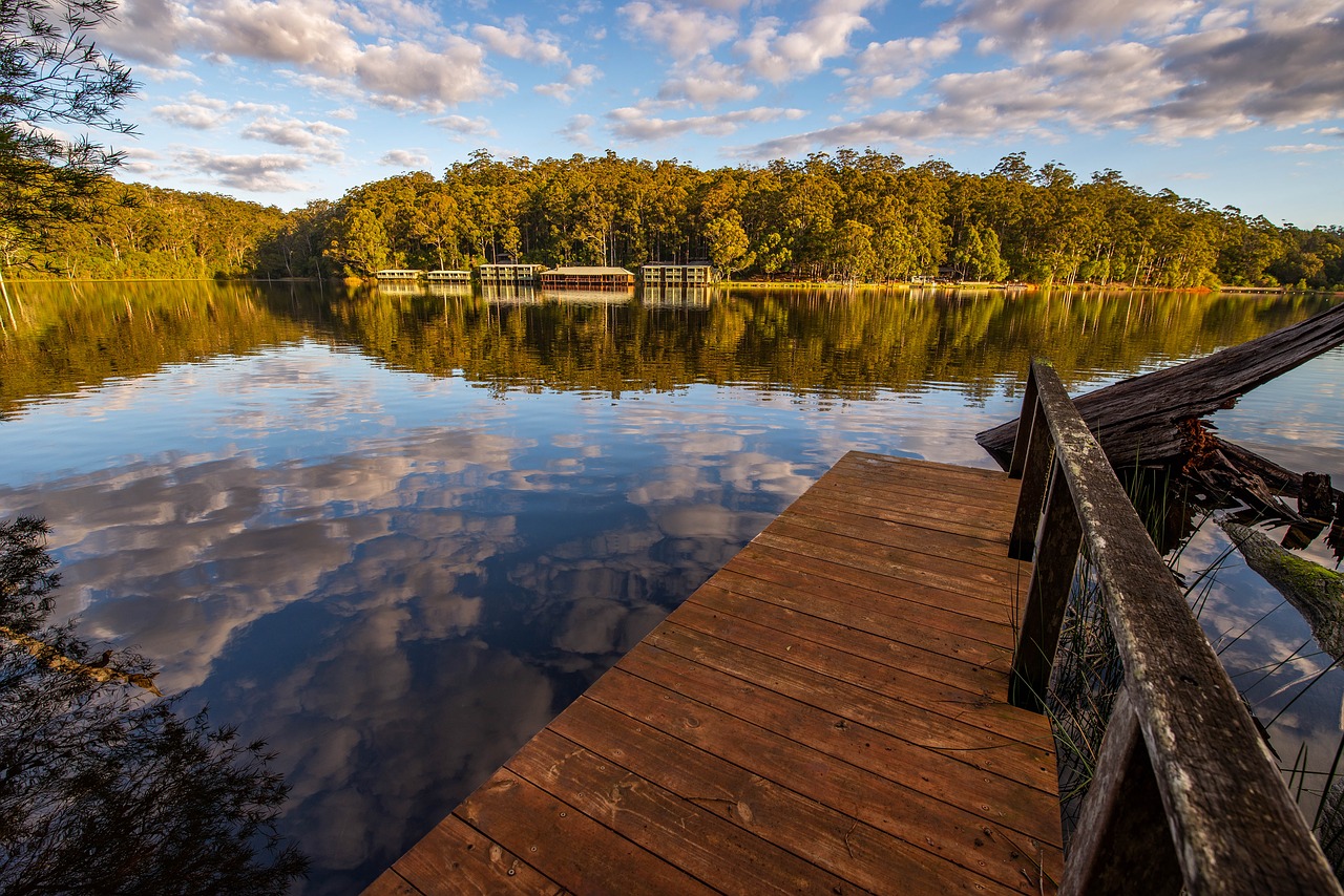 lake  trees  water free photo