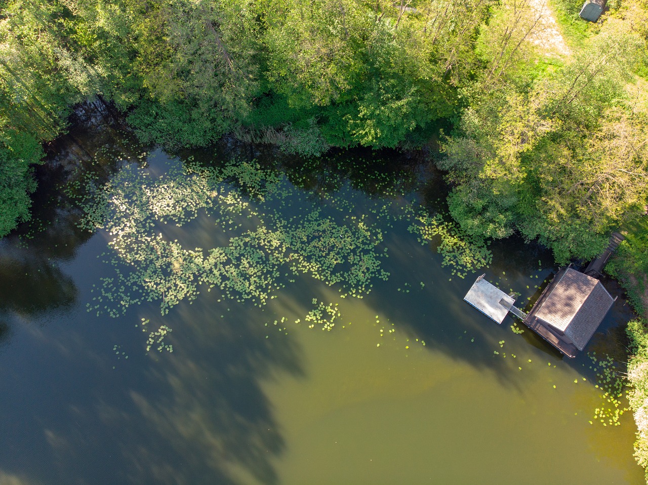 lake  pond  water free photo