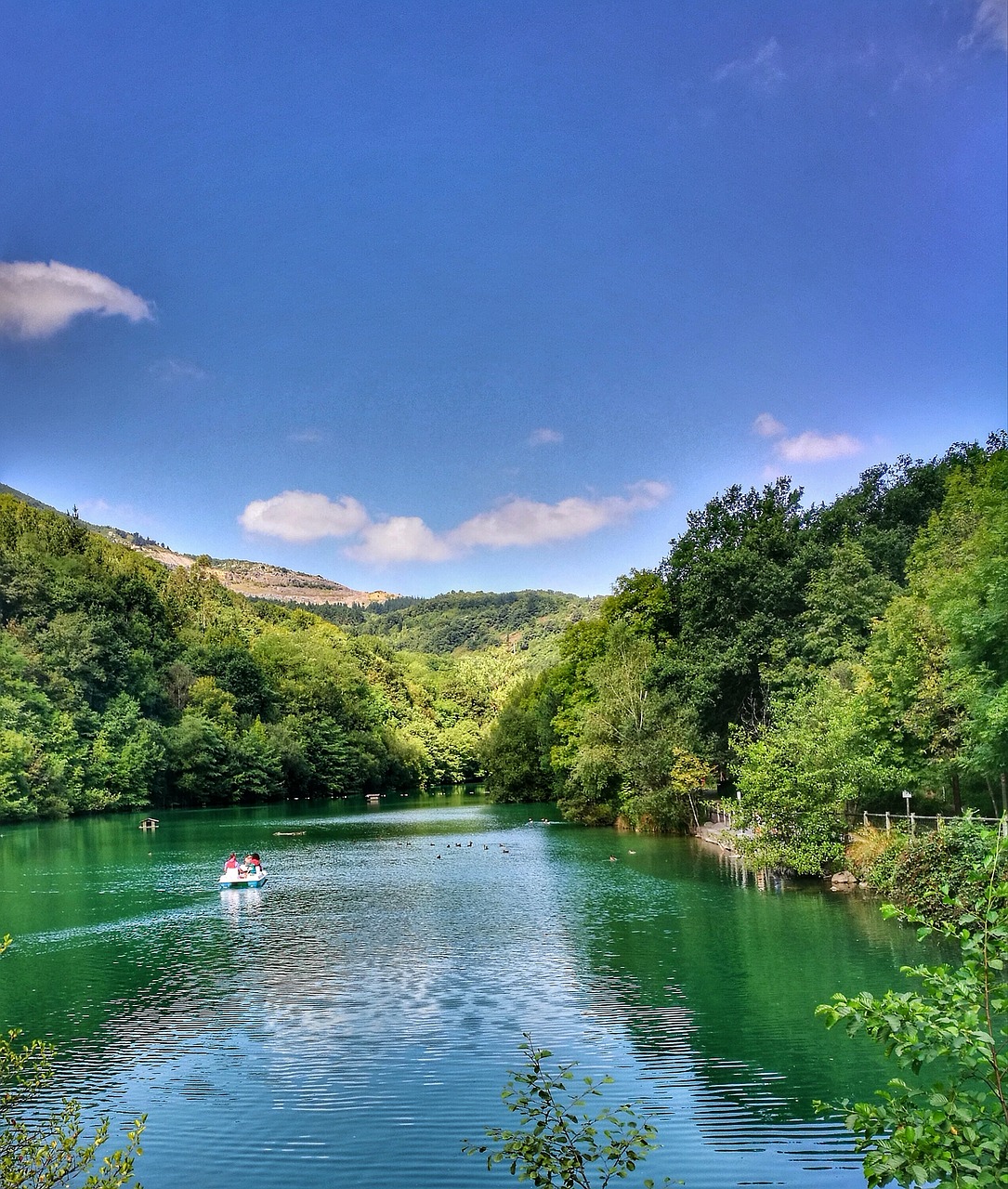 lake  tourism  nature free photo