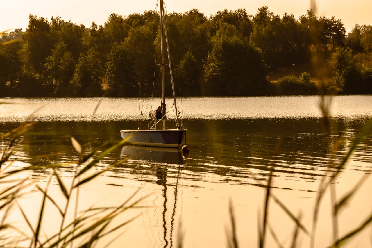 lake  sunrise  morning free photo