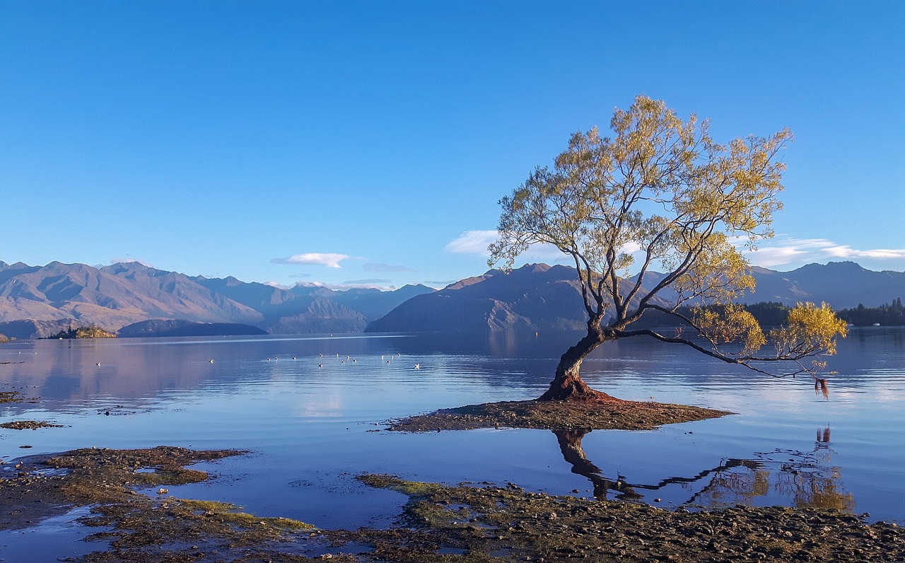 lake  nature  water free photo