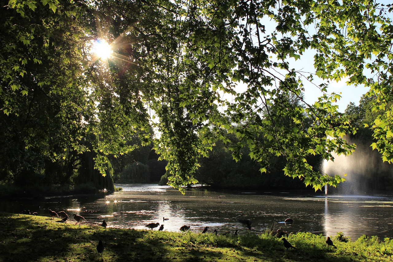 lake water sun free photo