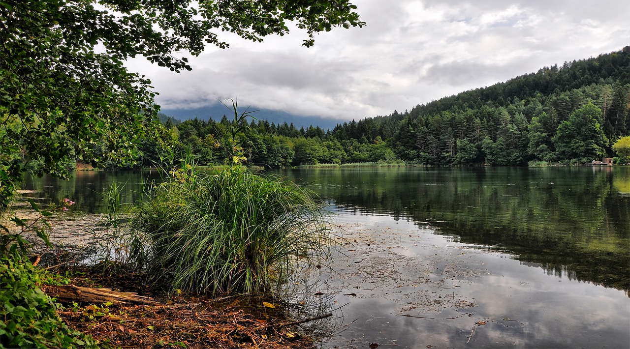 lake  the alps  clouds free photo