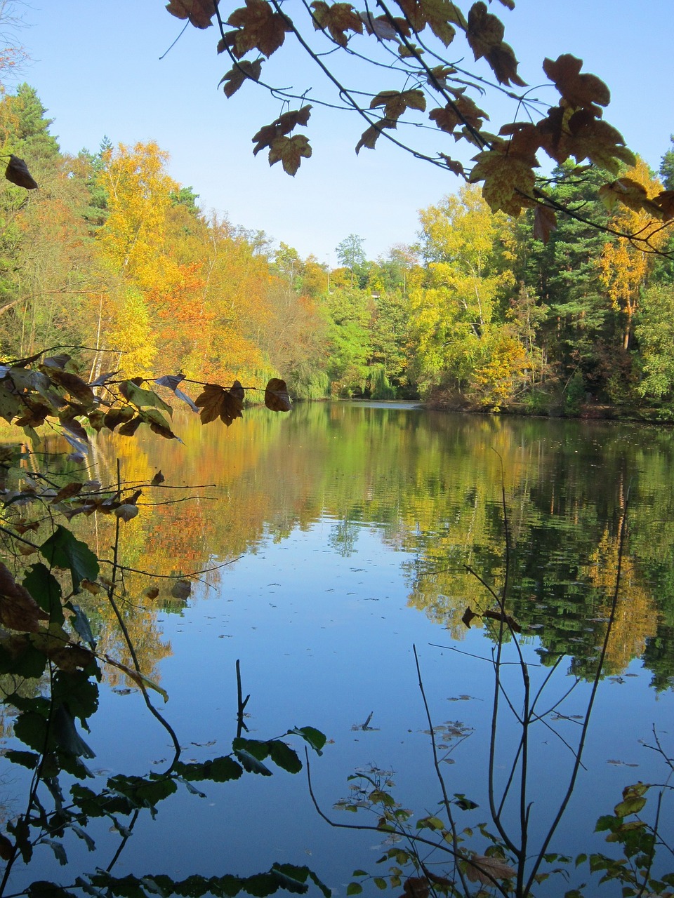 lake autumn mirroring free photo