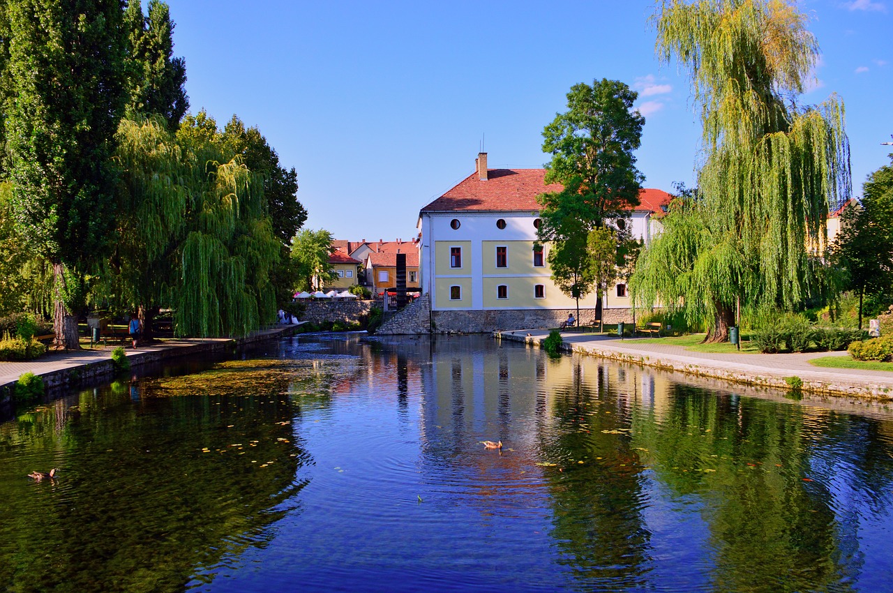 lake  tapolca lake  water free photo