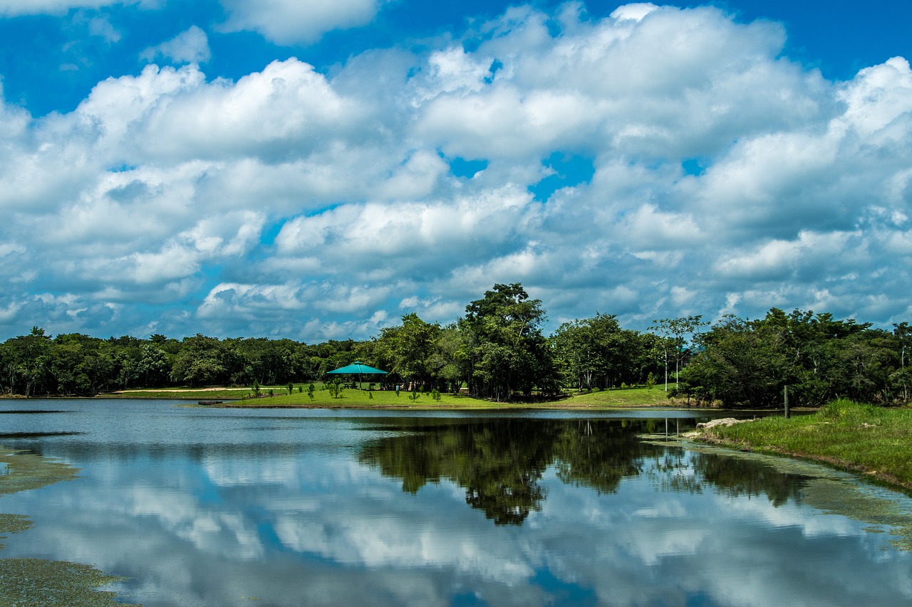 lake  water  reflection free photo