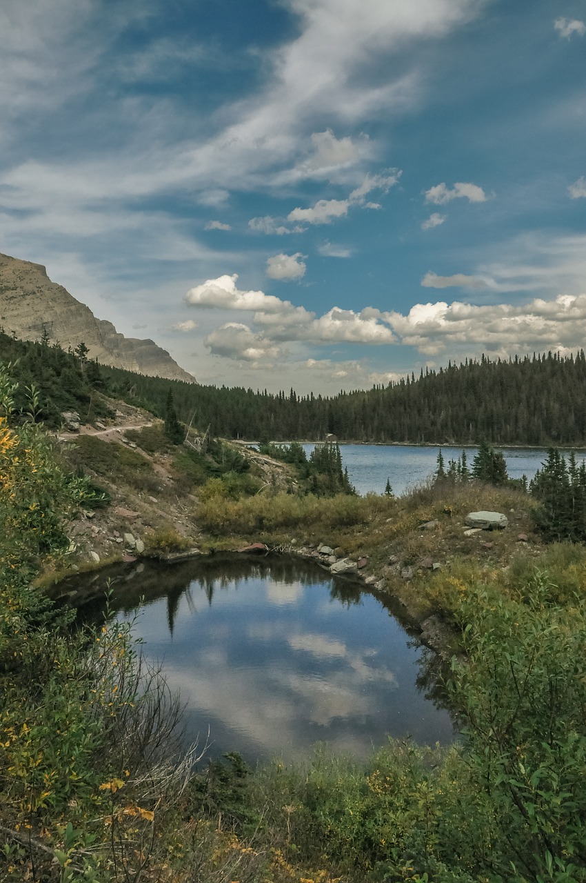 lake  pond  nature free photo