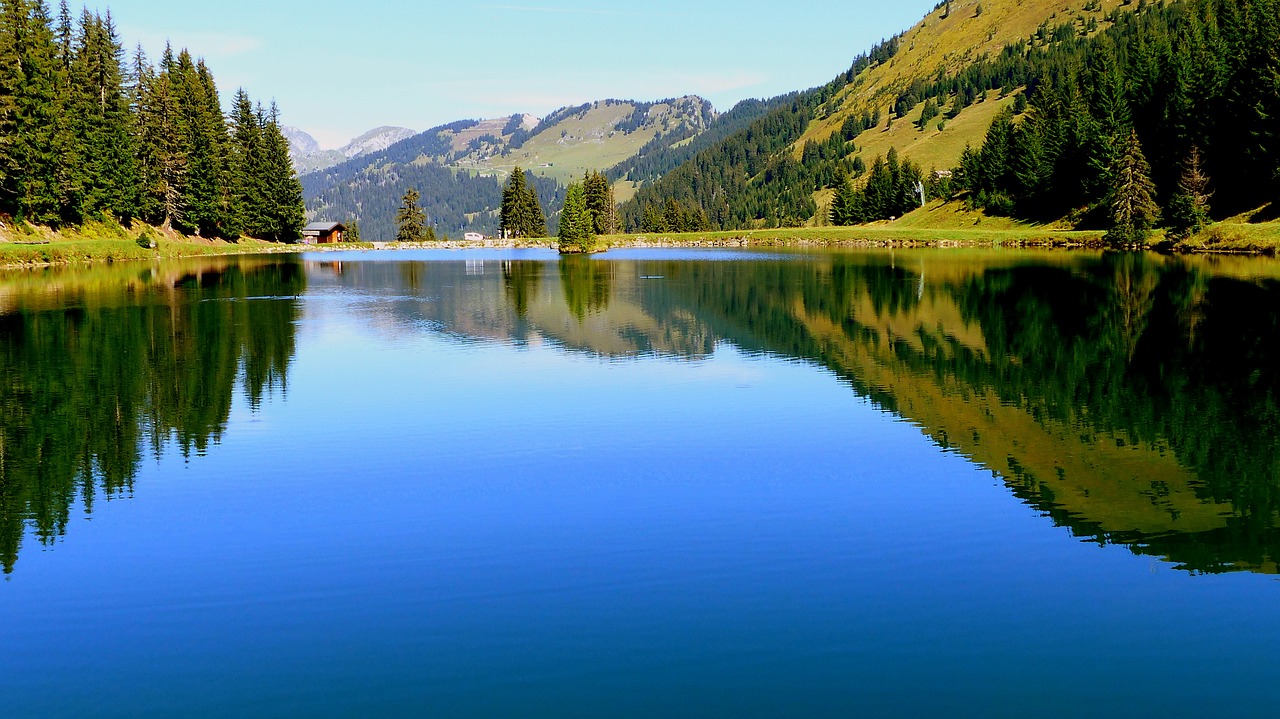 lake  morning  alps free photo