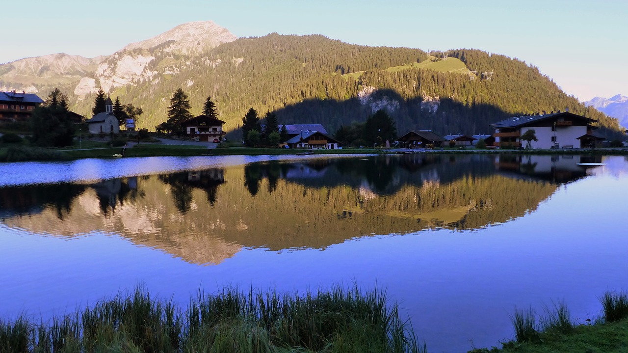 lake  morning  alpine free photo