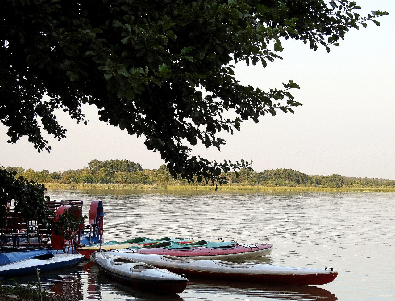 lake  summer  kayaks free photo