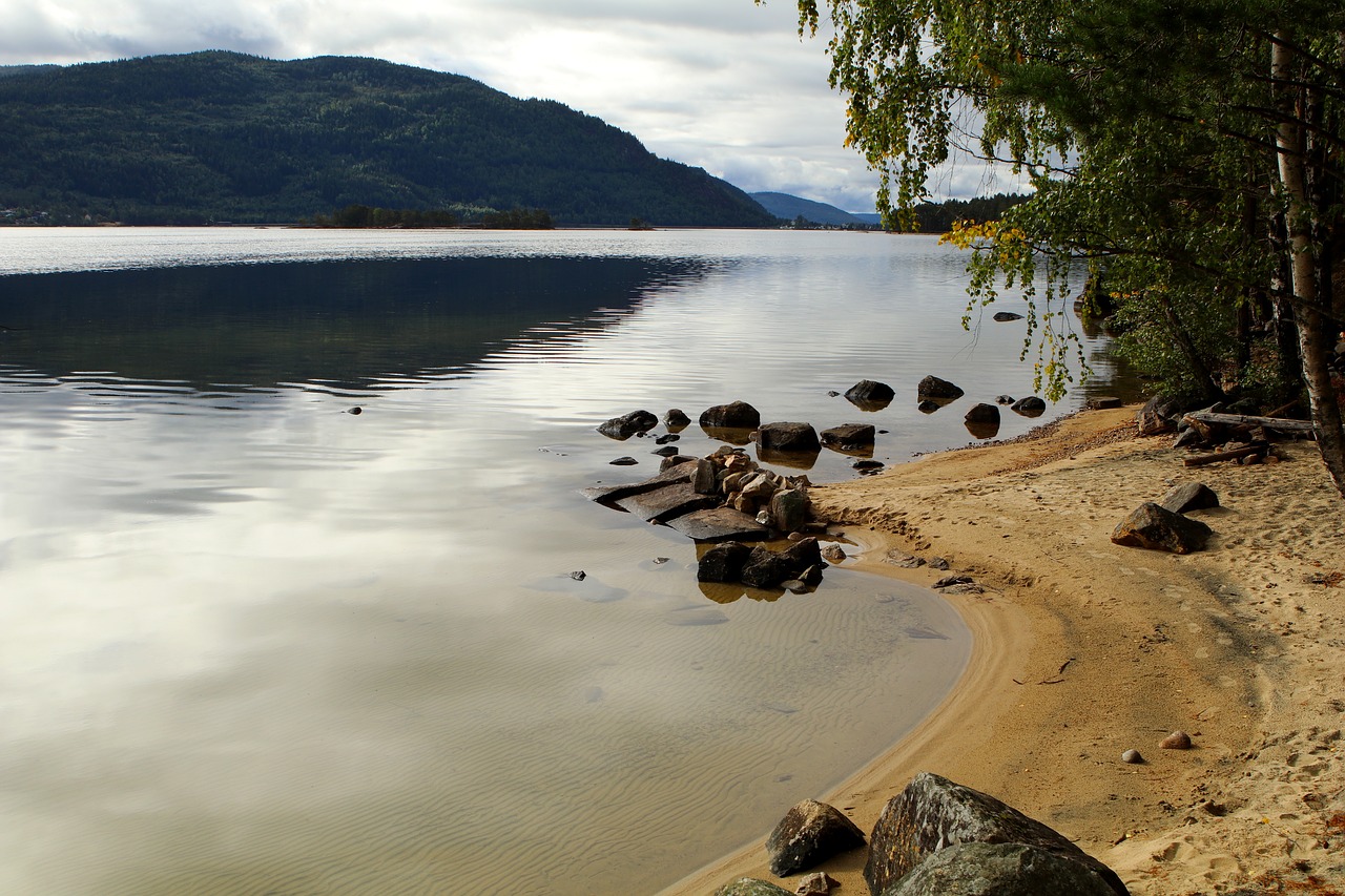 lake  beach  norway free photo