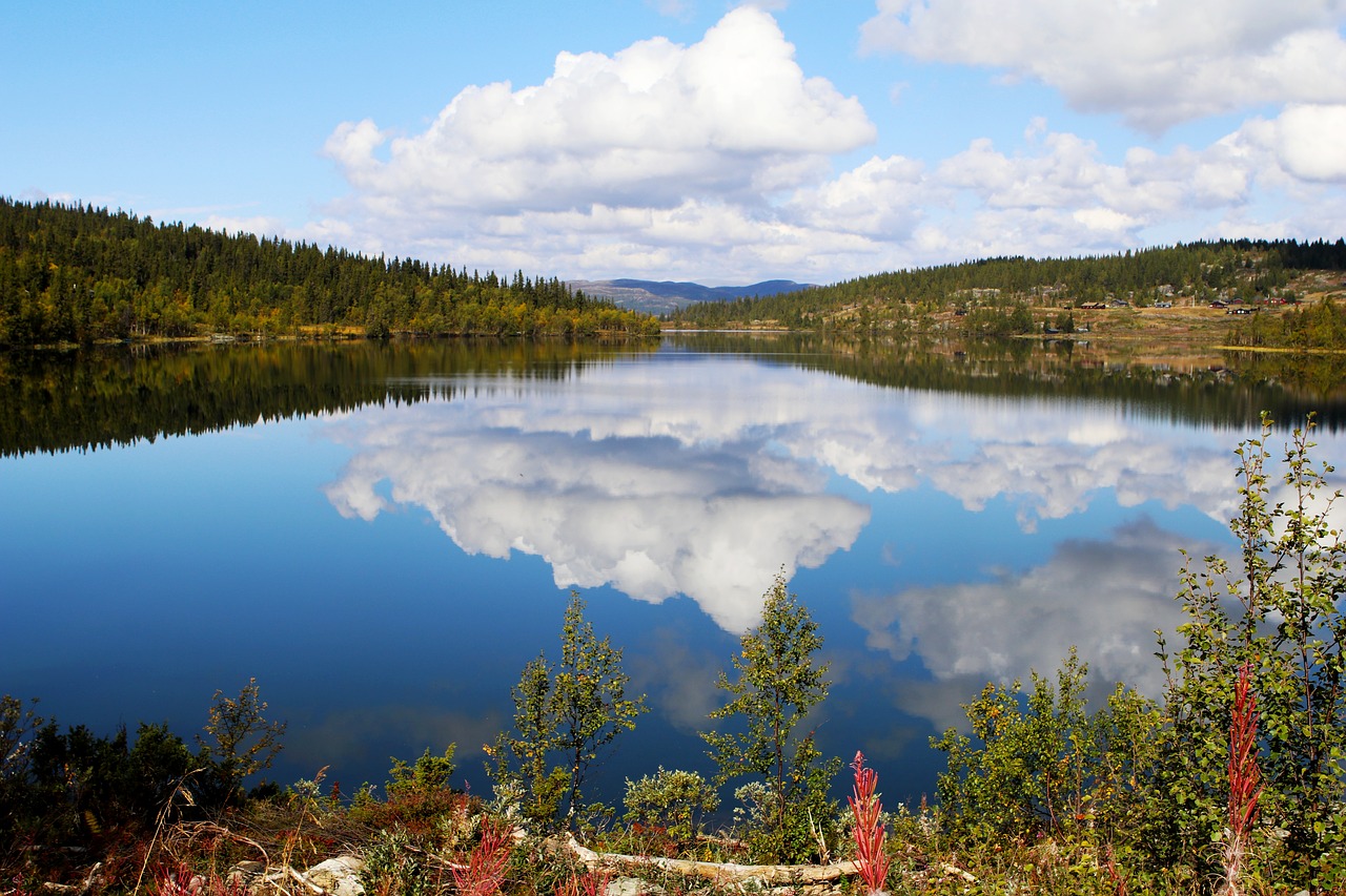 lake  water  surface free photo