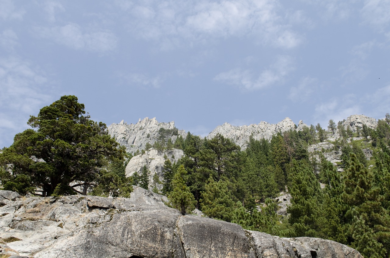 lake  tahoe  california free photo