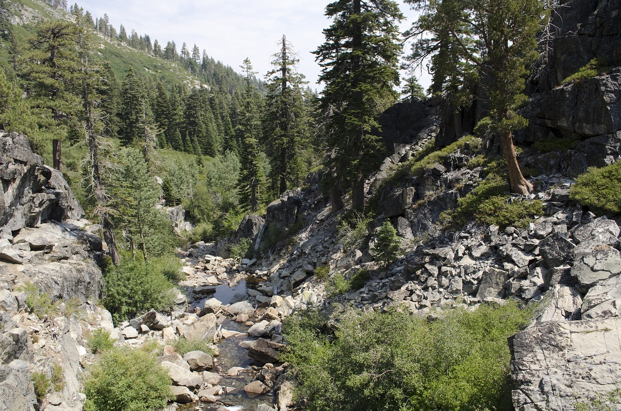 lake  tahoe  california free photo