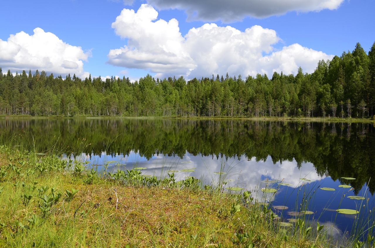 lake landscapes water free photo