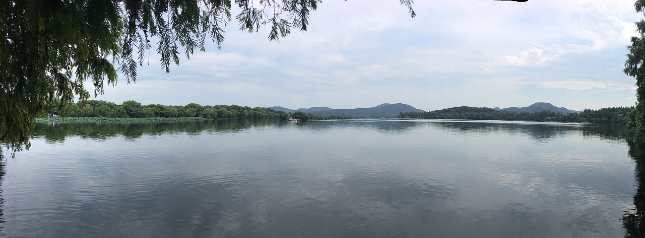 lake  lotus  cloud free photo