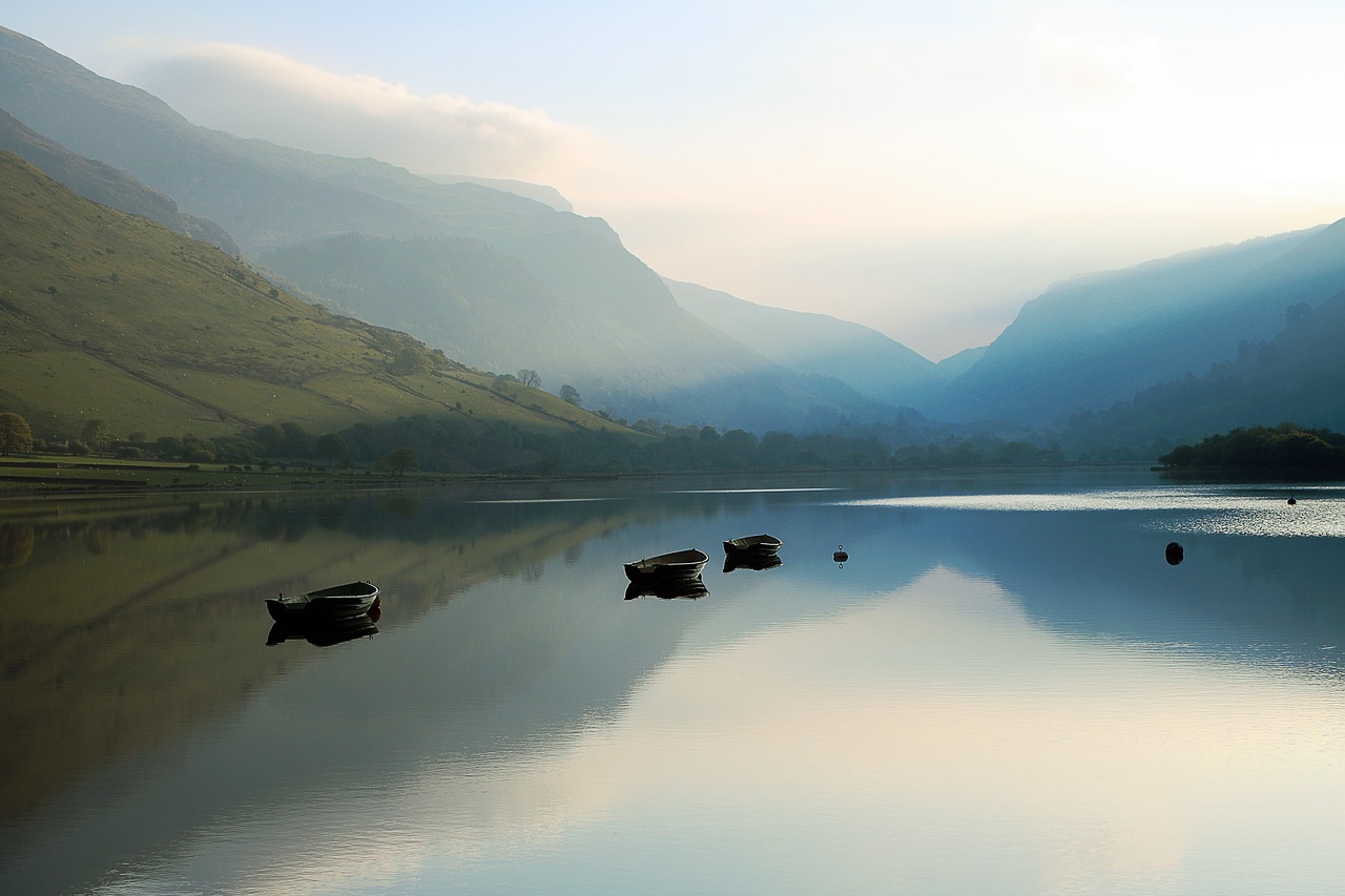 lake  calm  reflection free photo